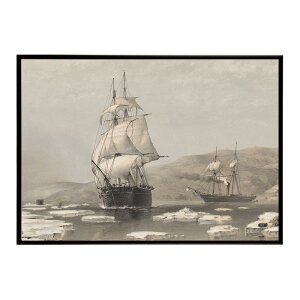 �|�X�^�[ ���� �G�� �t���[�� HMS Assistance Pioneer �~�̏o�� 1854�N �C���e���A ������� ���j���i �f�W�^�����}�X�^�[ �� A B 1 2 3 4 0 �ybn-poster-5912�z