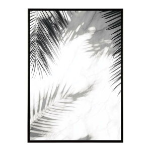 V̖ p[c[ RRibc  A T[t Vv ~j}Xg |X^[ c pƃTCYIׂ CeA  vg|X^[ tHg CXg   傫yl