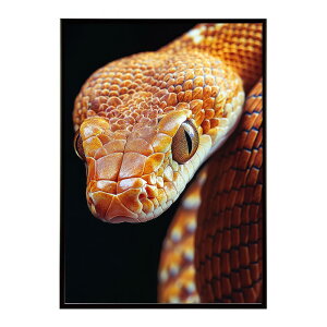 �t�@���g���X�s�[�V�[�Y�V���[�Y �w�r �� �Ŏ� �R�u�� �y�b�g ঒��� ���x 2025 ���N�� ���^ �|�X�^�[ �p���� �C���e���A ������� �v�����g�|�X�^�[ �t�H�g �C���X�g�ylh-poster-10554�z