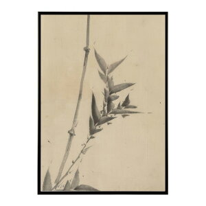 k  |X^[ fW^}X^[ G G Gt |̎q - Bamboo Shoots by Katsushika Hokusai|X^[ pƃTCYIׂ CeA  vg|X^[ ybn-poster-7606z