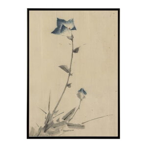 k  |X^[ fW^}X^[ G G Gt ԂQ - Blue Blossom and Bud by Katsushika Hokusai|X^[ pƃTCYIׂ CeA  vg|X^[ ybn-poster-