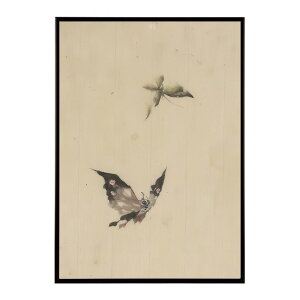 k  |X^[ fW^}X^[ G G Gt Ɖ - Butterfly and Moth by Katsushika Hokusai|X^[ pƃTCYIׂ CeA  vg|X^[ ybn-poster-7611z