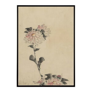 k  |X^[ fW^}X^[ G G Gt Ⴂsƍsɍ炭F̉ - Pink Blossoms on Low and Tall Stalks by Katsushika Hokusai|X^[ pƃTCYIׂ CeA 