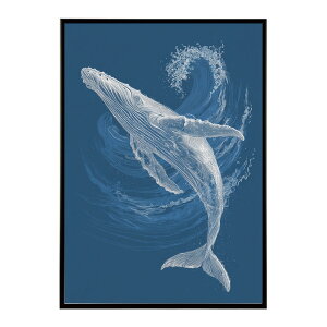 NW zG[ C  u[  ocean I[V ANA  CJ Cm |X^[ pƃTCYIׂ CeA  vg|X^[ tHg CXg   傫ylm