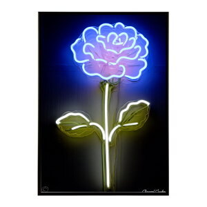 �l�I�� �� ���� ���C�g �l�I���� �J���t�� �T�C�o�[ �d�� �J�t�F �o�[ �|�X�^�[ �p���ƃT�C�Y���I�ׂ� �C���e���A ������� �v�����g�|�X�^�[ �t�H�g �C���X�g ������ ���� �傫���ylm-poster-46