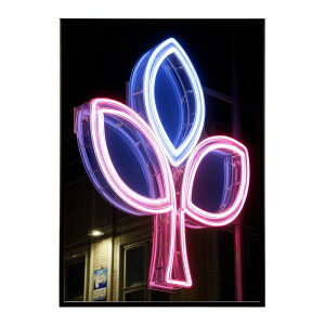 lI   Cg lI Jt TCo[ d JtF o[ |X^[ pƃTCYIׂ CeA  vg|X^[ tHg CXg   傫ylm-poster-46