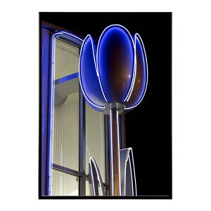 lI   Cg lI Jt TCo[ d JtF o[ |X^[ pƃTCYIׂ CeA  vg|X^[ tHg CXg   傫ylm-poster-46