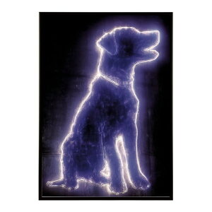 lI   Cg lI Jt TCo[ d JtF o[ |X^[ pƃTCYIׂ CeA  vg|X^[ tHg CXg   傫ylm-poster-48