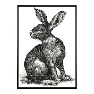 A[g|X^[  Jt yCgA[g  ʉ敗 _ Ǌ||X^[ Aj}A[g   T L  e V[Y G敗  CeA vg|X^[ tHg C