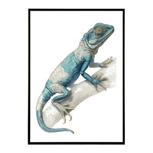 A[g|X^[  Jt yCgA[g  ʉ敗 _ Ǌ||X^[ Aj}A[g   T L  e V[Y G敗  CeA vg|X^[ tHg C