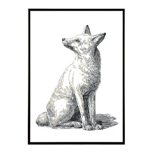 A[g|X^[  Jt yCgA[g  ʉ敗 _ Ǌ||X^[ Aj}A[g   T L  e V[Y G敗  CeA vg|X^[ tHg C