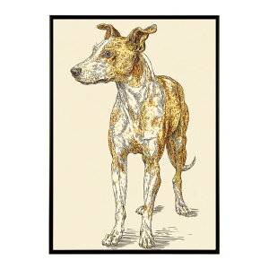 A[g|X^[  Jt yCgA[g  ʉ敗 _ Ǌ||X^[ Aj}A[g   T L  e V[Y G敗  CeA vg|X^[ tHg C