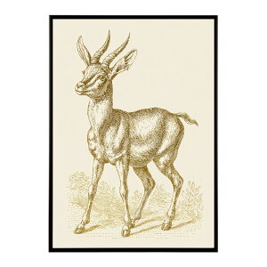 A[g|X^[  Jt yCgA[g  ʉ敗 _ Ǌ||X^[ Aj}A[g   T L  e V[Y G敗  CeA vg|X^[ tHg C