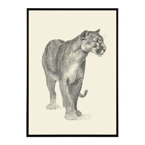 A[g|X^[  Jt yCgA[g  ʉ敗 _ Ǌ||X^[ Aj}A[g   T L  e V[Y G敗  CeA vg|X^[ tHg C