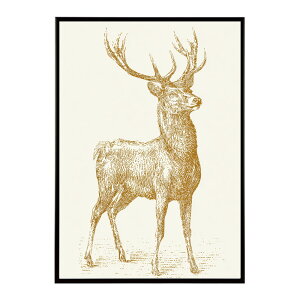 A[g|X^[  Jt yCgA[g  ʉ敗 _ Ǌ||X^[ Aj}A[g   T L  e V[Y G敗  CeA vg|X^[ tHg C