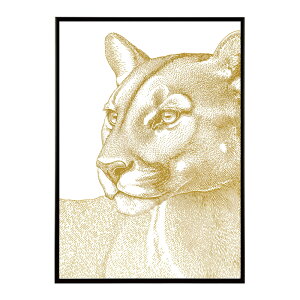 A[g|X^[  Jt yCgA[g  ʉ敗 _ Ǌ||X^[ Aj}A[g   T L  e V[Y G敗  CeA vg|X^[ tHg C