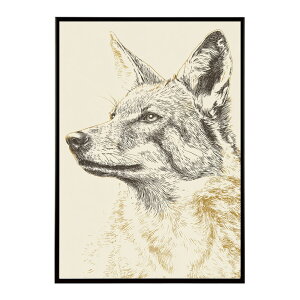 A[g|X^[  Jt yCgA[g  ʉ敗 _ Ǌ||X^[ Aj}A[g   T L  e V[Y G敗  CeA vg|X^[ tHg C