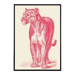 アートポスター 動物 カラフル ペイントアート 光沢 水彩画風 モダン 壁掛けポスター アニマルアート 鹿 狐 狼 猫 虎 兎 シリーズ 絵画風 おしゃれ インテリア プリントポスター フォト イラ