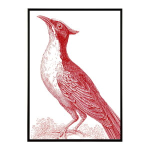 A[g|X^[  Jt yCgA[g  ʉ敗 _ Ǌ||X^[ Aj}A[g   T L  e V[Y G敗  CeA vg|X^[ tHg C