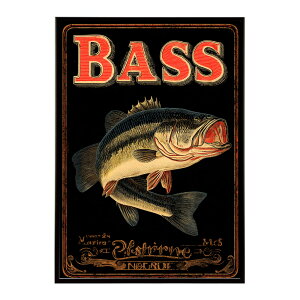 BASS |X^[ ubNoX tBbVO A[g ނ re[W AJ gfUC Ǌ||X^[ K[W JtF o[ CeA  CeA vg|X^[ tHg C