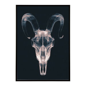 �A�[�g�|�X�^�[ �S�[�g�X�J�� ���M ���� ���m�g�[�� �[�� �f�U�C�� �Ǌ|�� �C���e���A �������C���e���A ������� �v�����g�|�X�^�[ �t�H�g �C���X�g ������ ���� �傫���ylm-poster-5531�z