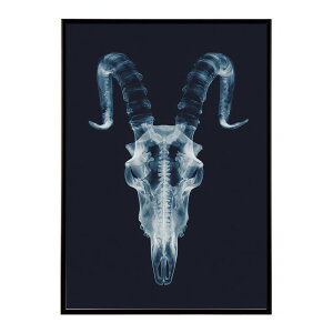 �A�[�g�|�X�^�[ �S�[�g�X�J�� ���M ���� ���m�g�[�� �[�� �f�U�C�� �Ǌ|�� �C���e���A �������C���e���A ������� �v�����g�|�X�^�[ �t�H�g �C���X�g ������ ���� �傫���ylm-poster-5541�z