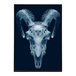 A[g|X^[ S[gXJ M  mg[ [ fUC Ǌ| CeA CeA  vg|X^[ tHg CXg   傫ylm-poster-5561z