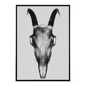 �A�[�g�|�X�^�[ �S�[�g�X�J�� ���M ���� ���m�g�[�� �[�� �f�U�C�� �Ǌ|�� �C���e���A �������C���e���A ������� �v�����g�|�X�^�[ �t�H�g �C���X�g ������ ���� �傫���ylm-poster-5597�z