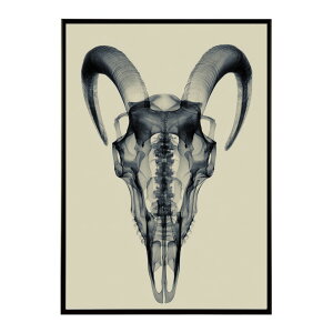 �A�[�g�|�X�^�[ �S�[�g�X�J�� ���M ���� ���m�g�[�� �[�� �f�U�C�� �Ǌ|�� �C���e���A �������C���e���A ������� �v�����g�|�X�^�[ �t�H�g �C���X�g ������ ���� �傫���ylm-poster-5598�z