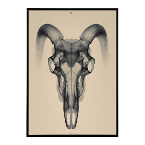 A[g|X^[ S[gXJ M  mg[ [ fUC Ǌ| CeA CeA  vg|X^[ tHg CXg   傫ylm-poster-5599z