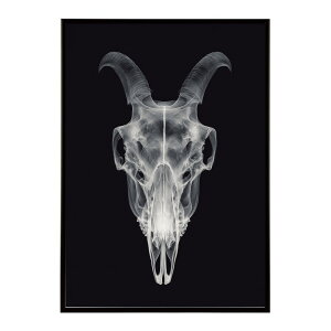A[g|X^[ S[gXJ M  mg[ [ fUC Ǌ| CeA CeA  vg|X^[ tHg CXg   傫ylm-poster-5605z