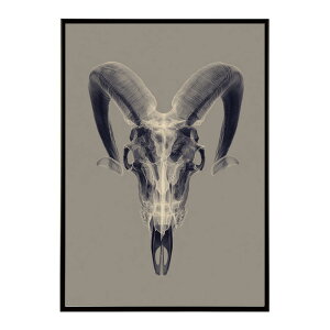 A[g|X^[ S[gXJ M  mg[ [ fUC Ǌ| CeA CeA  vg|X^[ tHg CXg   傫ylm-poster-5613z