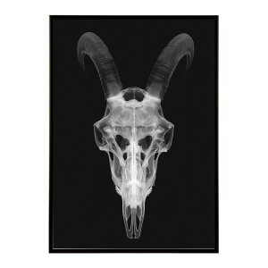 �A�[�g�|�X�^�[ �S�[�g�X�J�� ���M ���� ���m�g�[�� �[�� �f�U�C�� �Ǌ|�� �C���e���A �������C���e���A ������� �v�����g�|�X�^�[ �t�H�g �C���X�g ������ ���� �傫���ylm-poster-5623�z