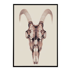 �A�[�g�|�X�^�[ �S�[�g�X�J�� ���M ���� ���m�g�[�� �[�� �f�U�C�� �Ǌ|�� �C���e���A �������C���e���A ������� �v�����g�|�X�^�[ �t�H�g �C���X�g ������ ���� �傫���ylm-poster-5624�z