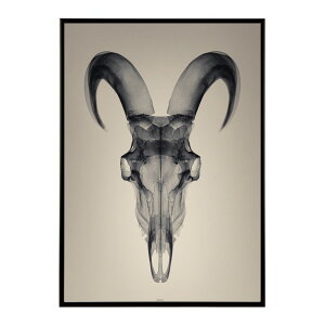 �A�[�g�|�X�^�[ �S�[�g�X�J�� ���M ���� ���m�g�[�� �[�� �f�U�C�� �Ǌ|�� �C���e���A �������C���e���A ������� �v�����g�|�X�^�[ �t�H�g �C���X�g ������ ���� �傫���ylm-poster-5626�z