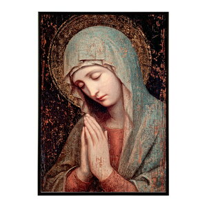 ё |X^[ [bp G敗  j Ƒ 핗i AeB[N g G A[g Ǌ|  rO CeA  |X^[  vg|X^[ tHg C