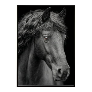 n z[X G G ʐ^  Aj} k |bv A[g 菑  |X^[ CeA  vg|X^[ tHg CXgylm-poster-7565z