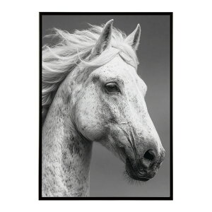 n z[X G G ʐ^  Aj} k |bv A[g 菑  |X^[ CeA  vg|X^[ tHg CXgylm-poster-7568z