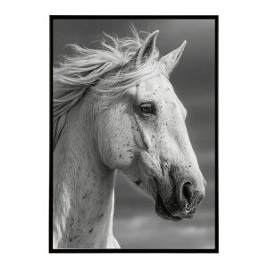 n z[X G G ʐ^  Aj} k |bv A[g 菑  |X^[ CeA  vg|X^[ tHg CXgylm-poster-7570z