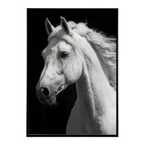 n z[X G G ʐ^  Aj} k |bv A[g 菑  |X^[ CeA  vg|X^[ tHg CXgylm-poster-7577z