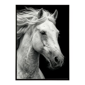 n z[X G G ʐ^  Aj} k |bv A[g 菑  |X^[ CeA  vg|X^[ tHg CXgylm-poster-7578z