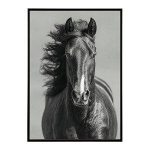 n z[X G G ʐ^  Aj} k |bv A[g 菑  |X^[ CeA  vg|X^[ tHg CXgylm-poster-7579z