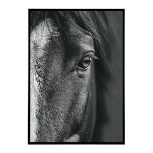 n z[X G G ʐ^  Aj} k |bv A[g 菑  |X^[ CeA  vg|X^[ tHg CXgylm-poster-7580z