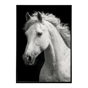 n z[X G G ʐ^  Aj} k |bv A[g 菑  |X^[ CeA  vg|X^[ tHg CXgylm-poster-7583z