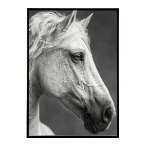 n z[X G G ʐ^  Aj} k |bv A[g 菑  |X^[ CeA  vg|X^[ tHg CXgylm-poster-7584z