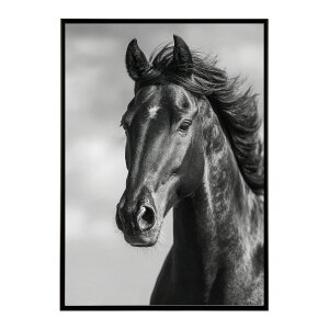 n z[X G G ʐ^  Aj} k |bv A[g 菑  |X^[ CeA  vg|X^[ tHg CXgylm-poster-7585z