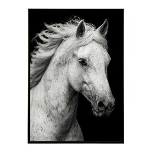 n z[X G G ʐ^  Aj} k |bv A[g 菑  |X^[ CeA  vg|X^[ tHg CXgylm-poster-7594z