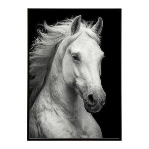 n z[X G G ʐ^  Aj} k |bv A[g 菑  |X^[ CeA  vg|X^[ tHg CXgylm-poster-7596z