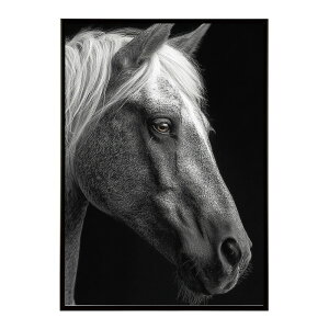 n z[X G G ʐ^  Aj} k |bv A[g 菑  |X^[ CeA  vg|X^[ tHg CXgylm-poster-7597z