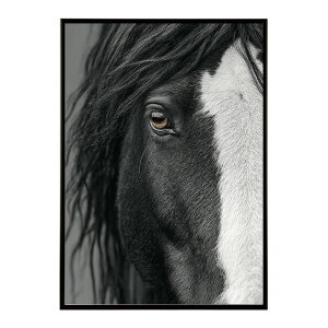 n z[X G G ʐ^  Aj} k |bv A[g 菑  |X^[ CeA  vg|X^[ tHg CXgylm-poster-7598z